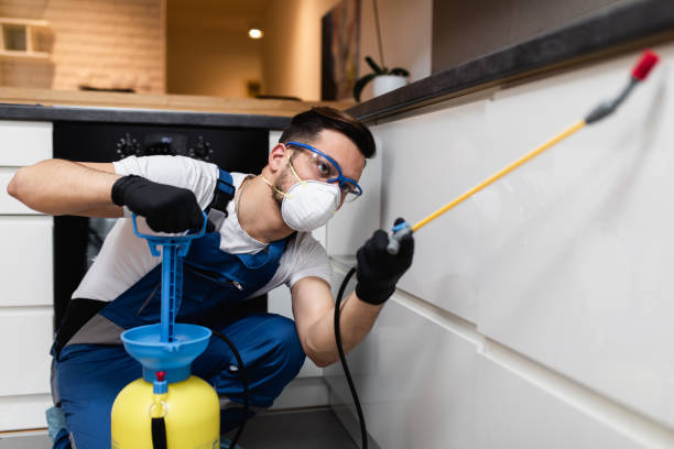 Pest Prevention Services in Monroeville, OH