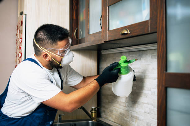 Best Commercial Pest Control Services  in Monroeville, OH