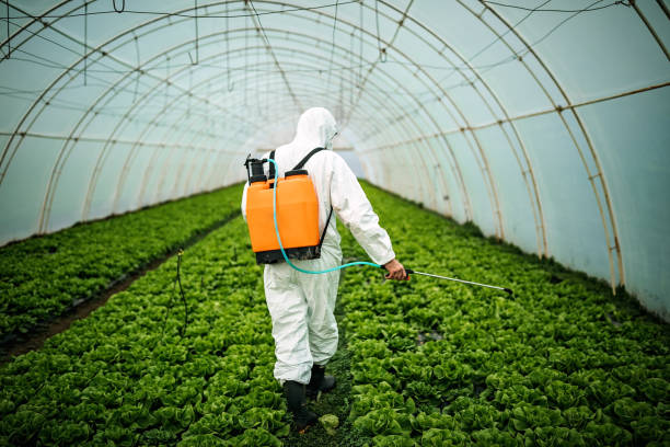 Best Pest Prevention Services  in Monroeville, OH