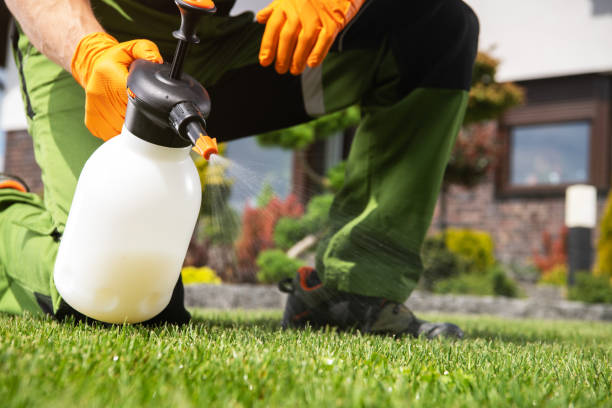 Best Emergency Pest Control  in Monroeville, OH
