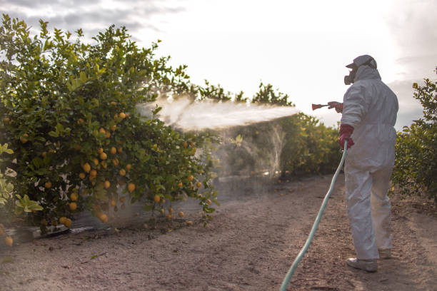 Best Residential Pest Control  in Monroeville, OH